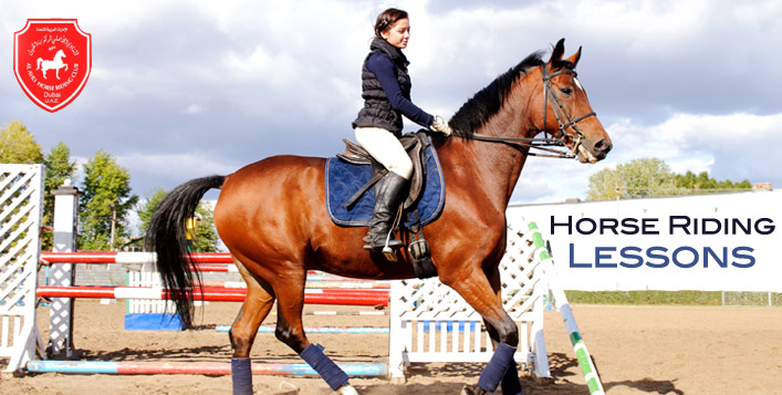 Horse Riding / Horsemanship Lessons