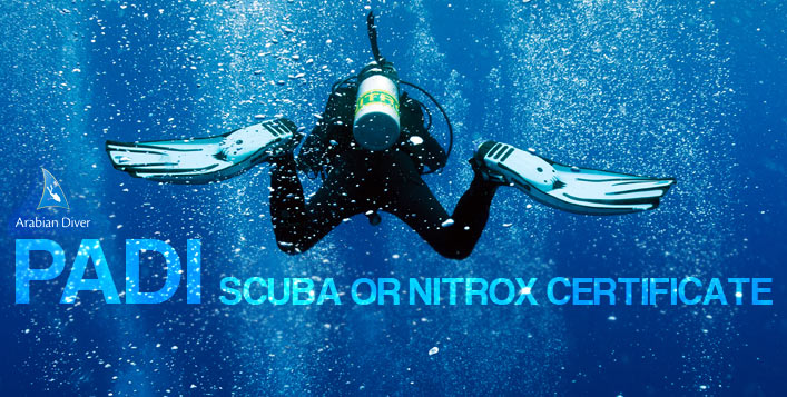 Be a Certified PADI Scuba Diver