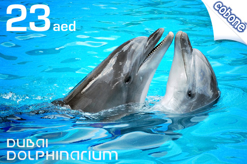 Exciting Illusion Show at Dubai Dolphinarium