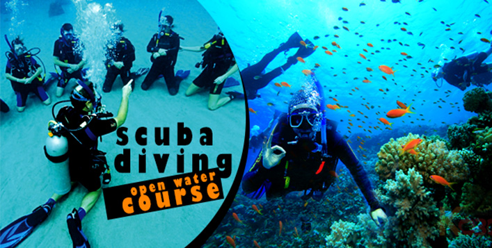 G One PADI Diving Course-All Levels