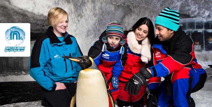 Meet the penguins at Ski Dubai