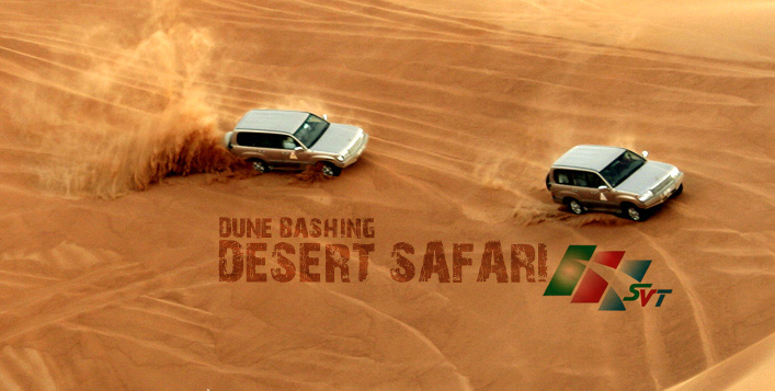 Desert Safari, BBQ & Camel Rides
