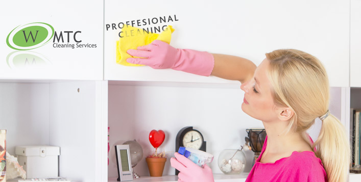 Professional cleaning help