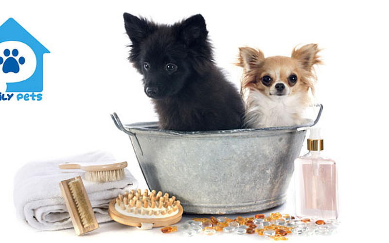 Family Pets Trading