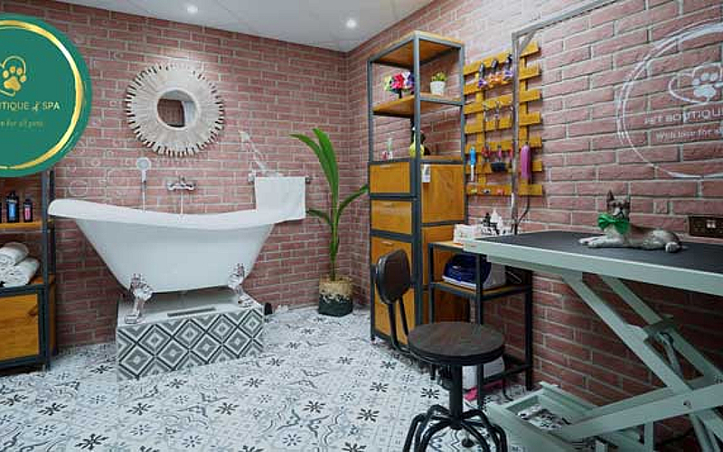 Pet Spa Services and Deals Starting From AED 89 Cobone Offers