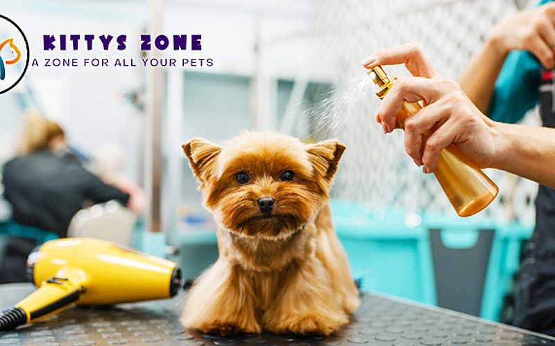 Pet Salon Dogs Hair Cutting Near Me Cat Or Dog Grooming Services