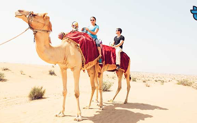 Optional transportation by Brilliant Tourism