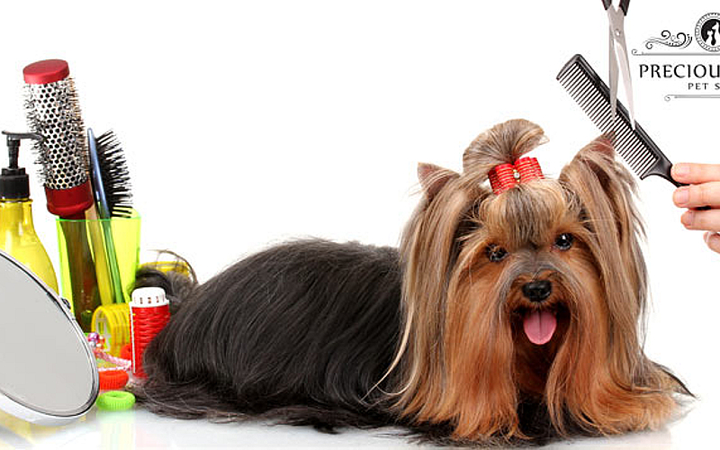 Pet Silky Pups Grooming Spa Pet Grooming Package From Precious