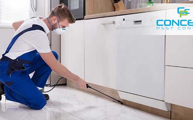 Valid for flat/apartment or villa/townhouse