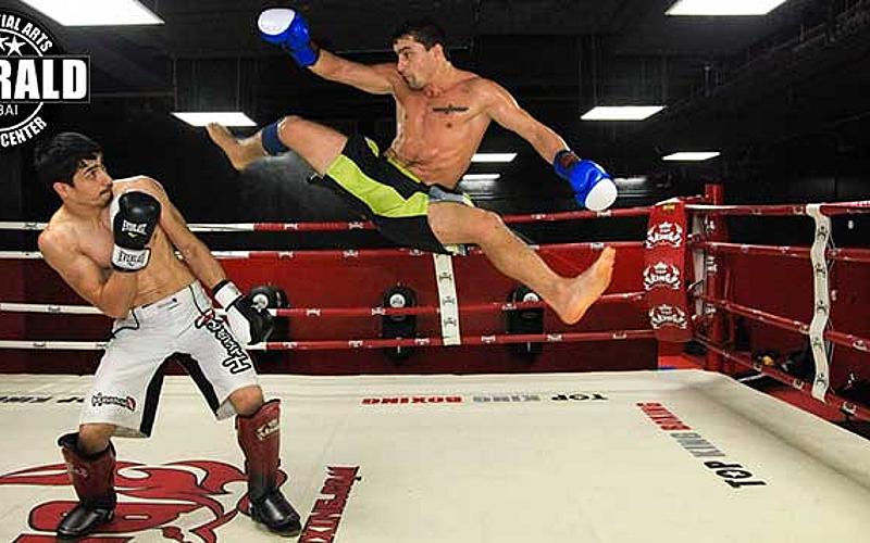 Emerald Fitness Center, Motor City