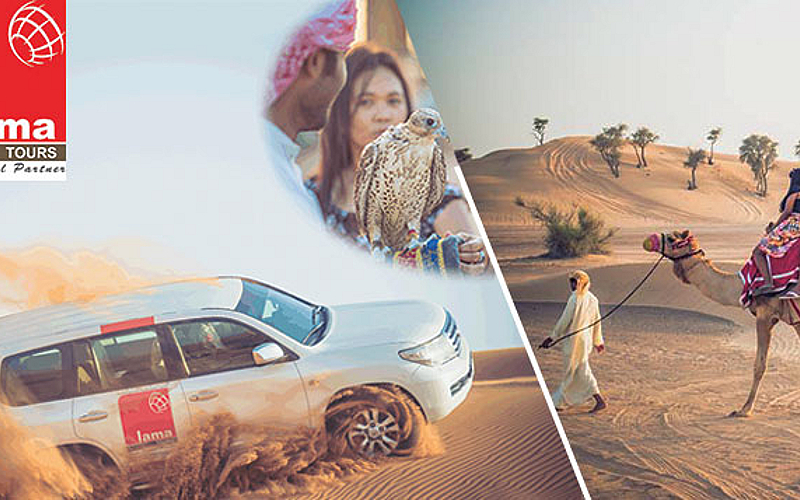 Explore the Dubai desert with a safari 