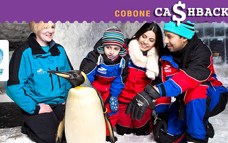 Meet the Penguins at Ski Dubai