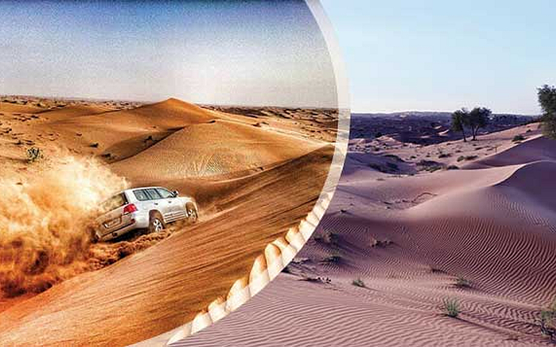 Rediscover the beauty of the dessert