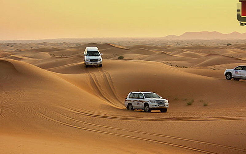 Enjoy a must-try Desert Safari experience