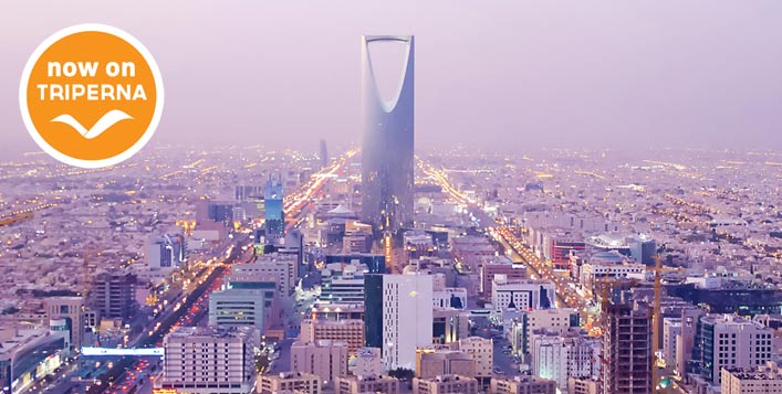  فندق التنفيذيين **** في الرياض