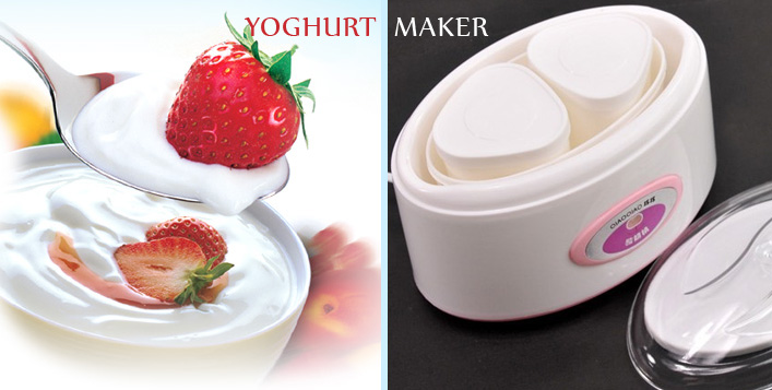 Homemade Yoghurt Maker from HST Dubai