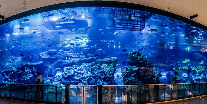 Best Deals On Explorer Package At Dubai Aquarium & Underwater Zoo 