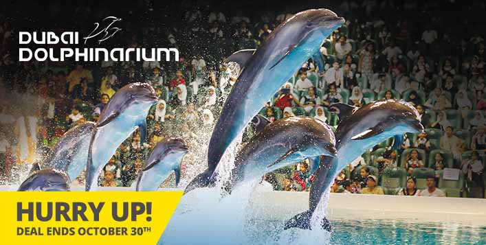 Best Selling Dubai Dolphinarium Tickets, Deals, Offers and Discounts ...