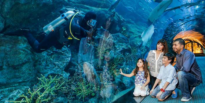 Dubai Aquarium & Underwater Zoo + Penguin Encounter Cove from AED 179 ...