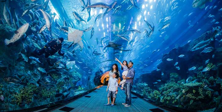 Dubai Aquarium & Underwater Zoo + Penguin Encounter Cove from AED 179 ...