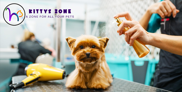 Grooming Services The Dog Spa Pet Grooming Dog Daycare Downtown
