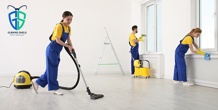 Monthly 4 Visites 3 hours of cleaning service