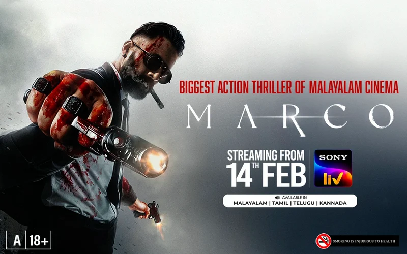 Amazon Prime Action Vishal Telugu Movie Online Watch Ratsasan