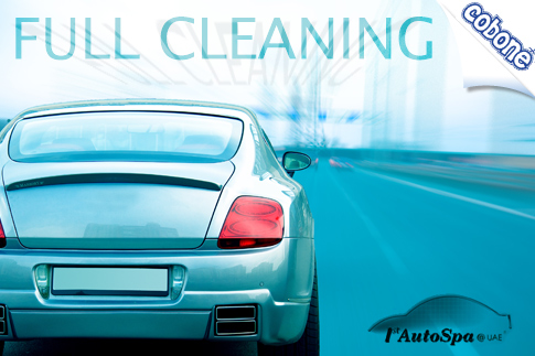 Car Waxing, Steam Cleaning and Vacuuming