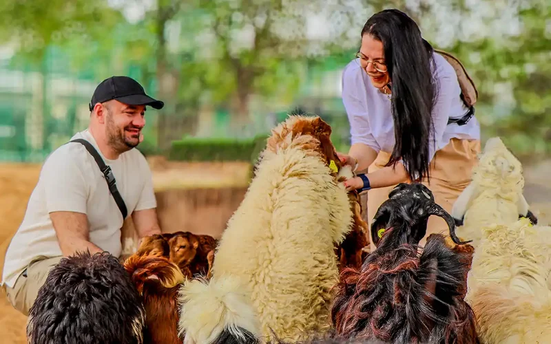 slider image thumbnail