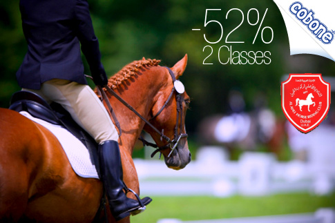 52% off horse riding lessons