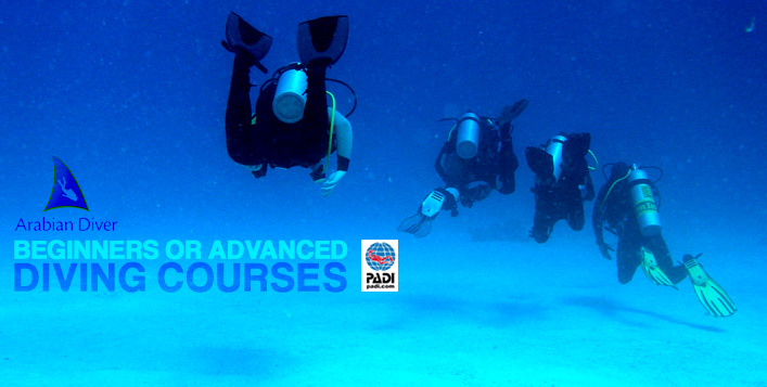 Become a Certified PADI Diver