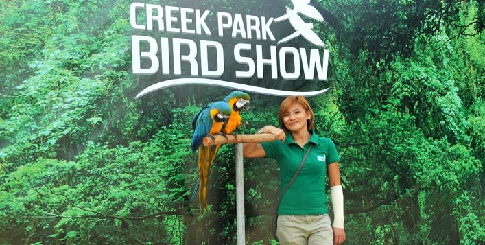 UAE's Only Exotic Bird Show | Cobone Offers