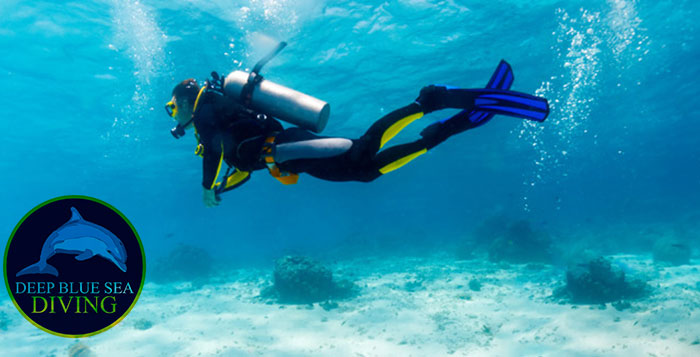 Become a certified diver!