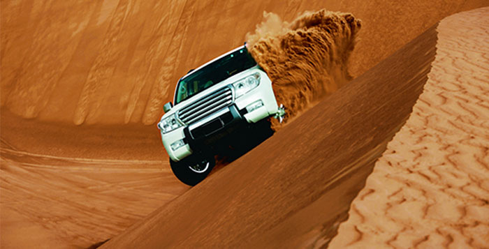 royal vision desert safari dubai