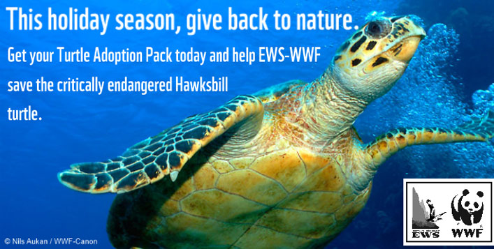 Save Endangered Turtles