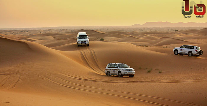 Enjoy a must-try Desert Safari experience
